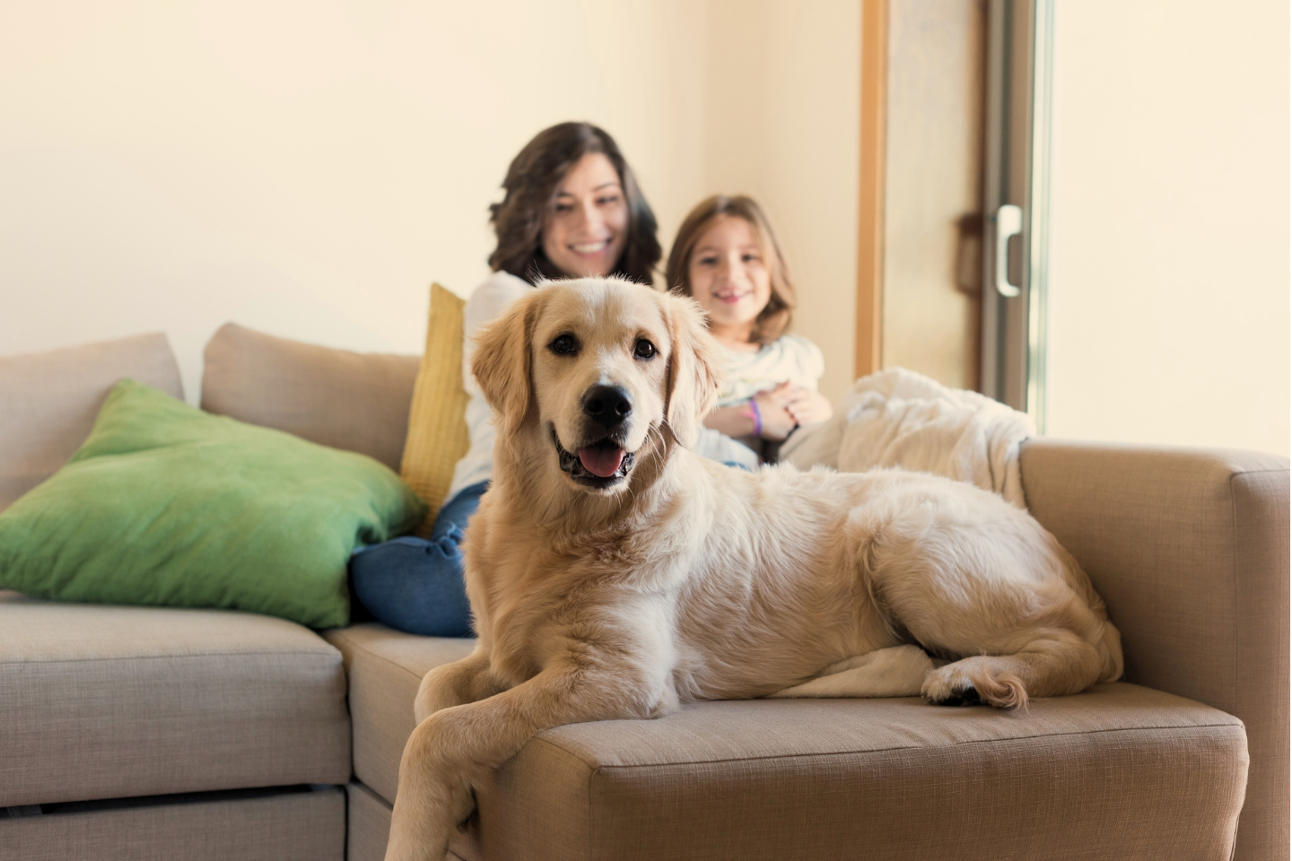 un chien couché sur le canapé familial, en arrière plan une maman et sa fille 